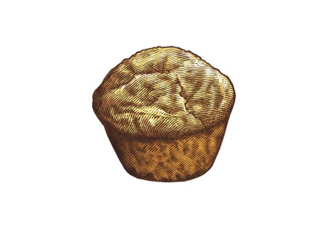 Muffin art color